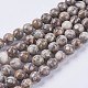 Natural Maifanite/Maifan Stone Beads Strands US-G-I187-8mm-01-2