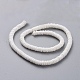 Disc Natural Sea Shell Beads Strands US-SSHEL-F290-21-2