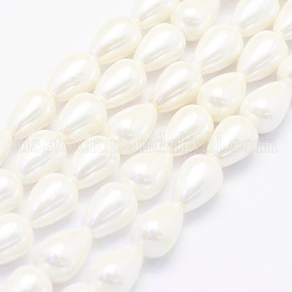 Shell Pearl Beads Strands US-BSHE-P024-02-1