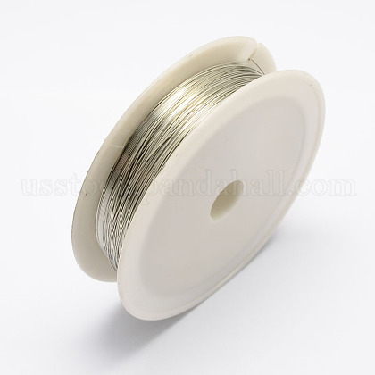 Round Iron Wire US-MW-R001-0.3mm-07-1