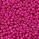 Baking Paint Glass Seed Beads US-SEED-S002-K24-2