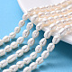 Natural Cultured Freshwater Pearl Beads Strands US-PEAR-S012-41C-1