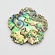 Natural Paua Shell Beads US-BSHE-O002-01-2