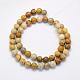 Natural Fossil Coral Beads Strands US-G-G697-F01-8mm-2