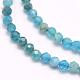 Natural Apatite Beads Strands US-G-F509-17-3mm-3