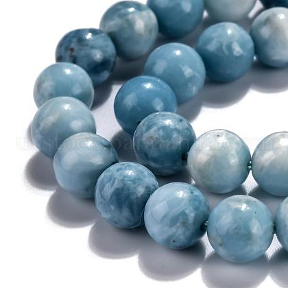 Natural Gemstone Beads Strands&nbsp;US-G-L367-01-10mm-5