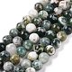 Natural Tree Agate Beads Strands US-G-K194-8mm-02-2